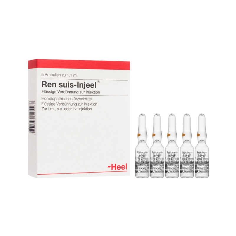 REN SUIS X 1.1 ML AMPOLLA COMPLETA