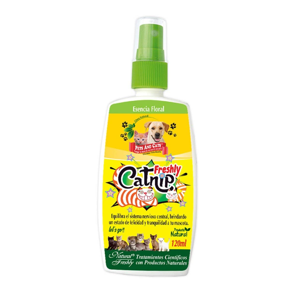 CATNIP-FRESLY.jpg