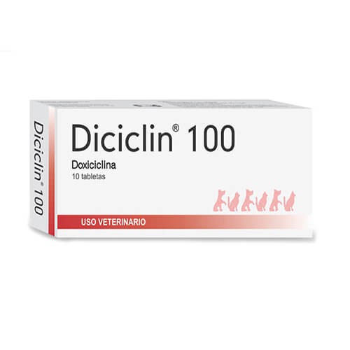 Diciclin-100-Mg.jpg