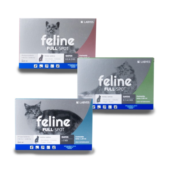 Feline