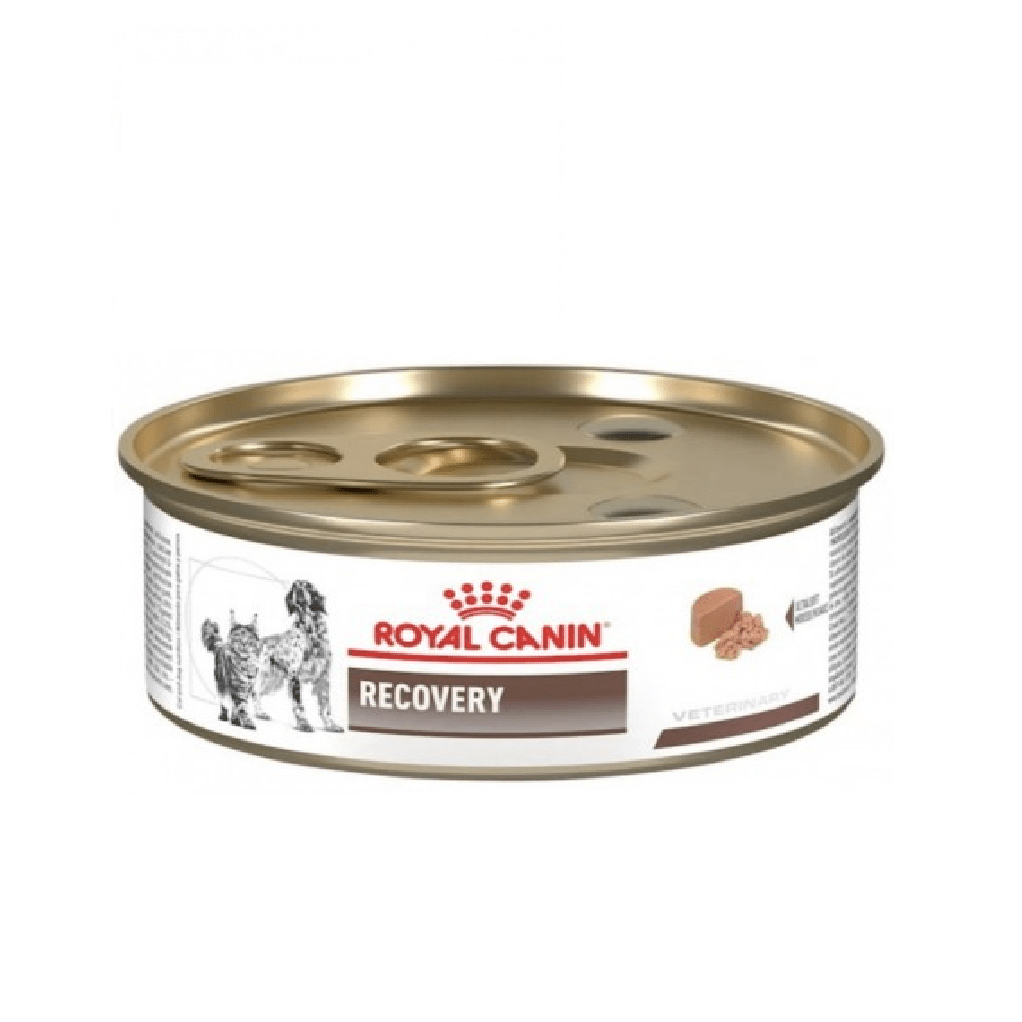 ROYAL-CANIN-DOG-CAT-RECOVERY.jpg