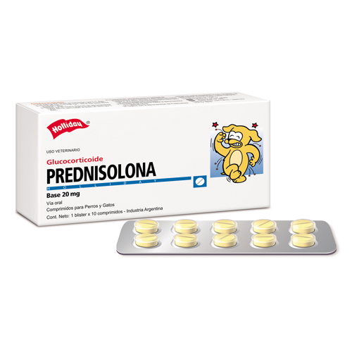 Prednisolona-20-Mg-Holliday.jpg