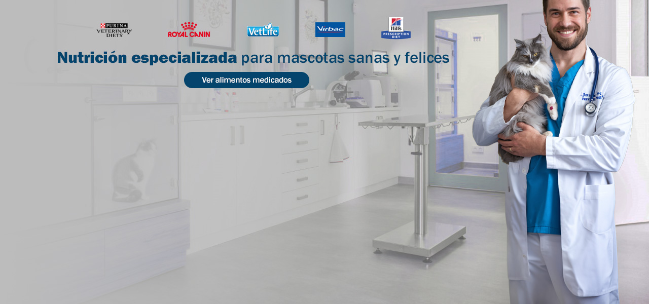 WP staging Home hero 3 desktop
