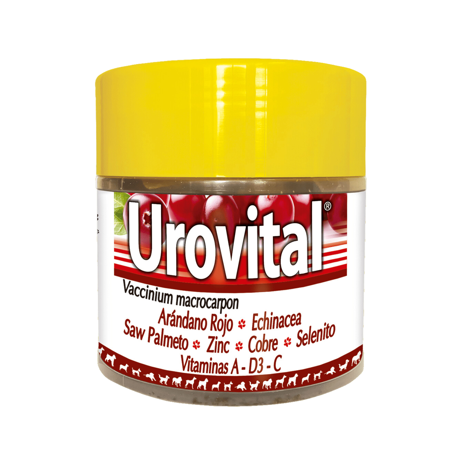 Diseno-sin-titulo-100.png