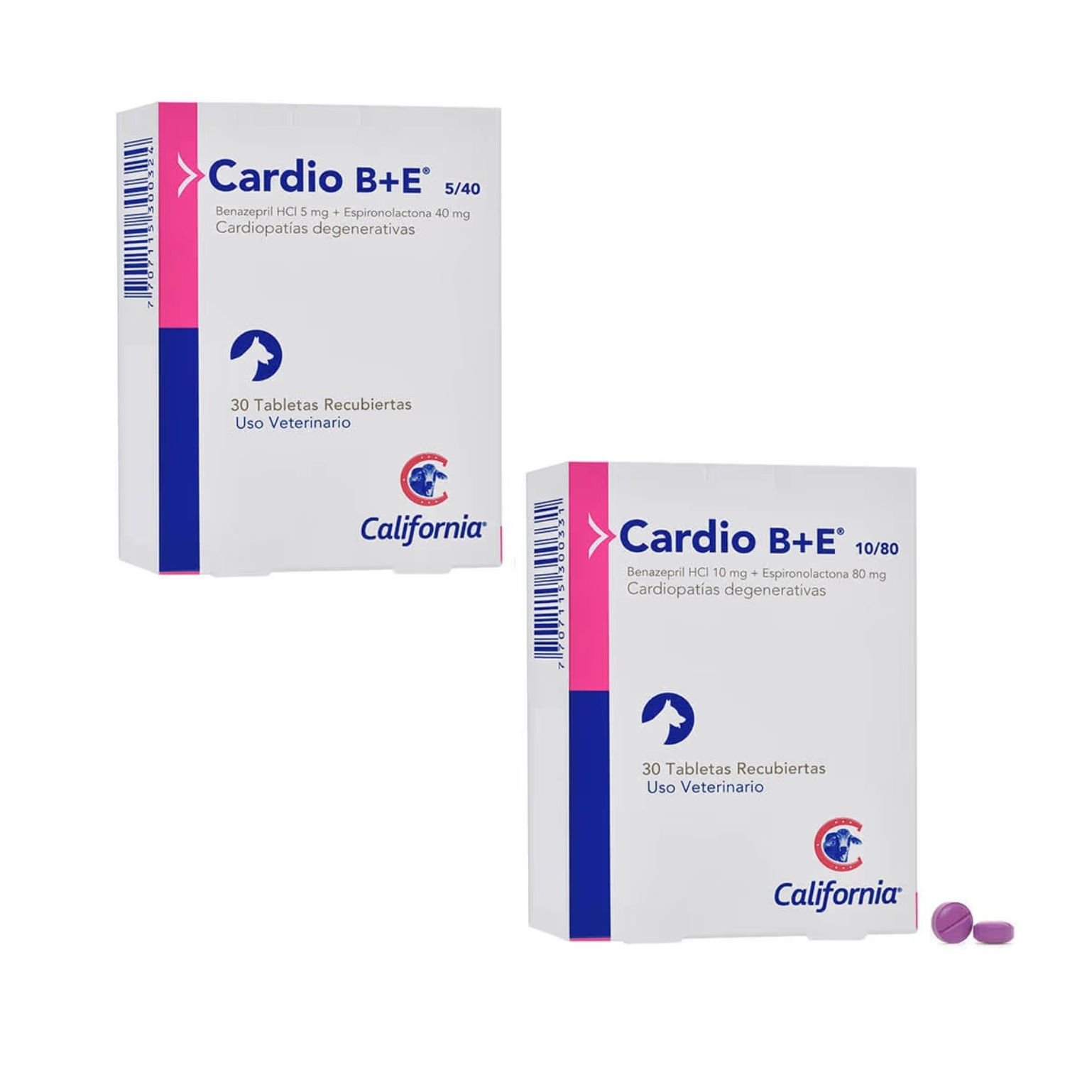 cardiob2