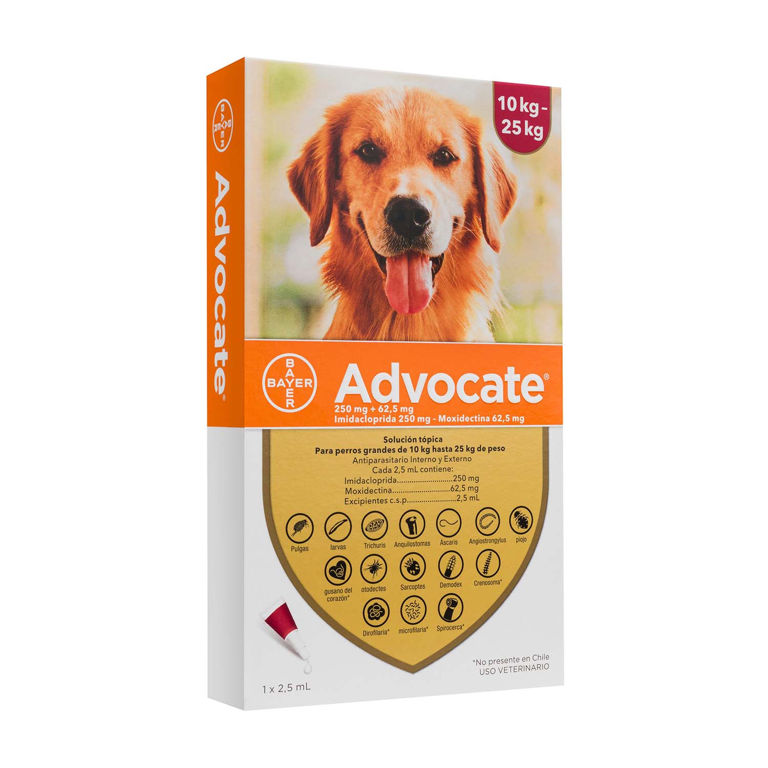 advocate-perro-de-10-a-25k.jpg