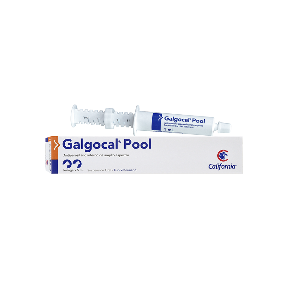 Galgocal-Pool-X-5-Ml.png