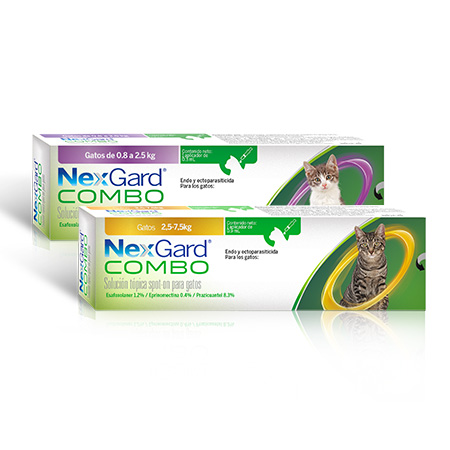 Nexgard combo gatos y gatitos