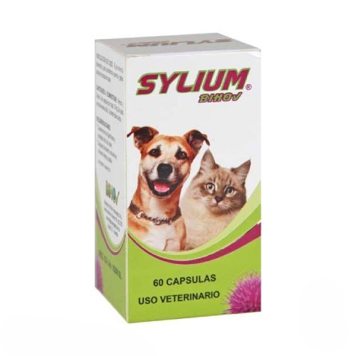 silyvet.jpg