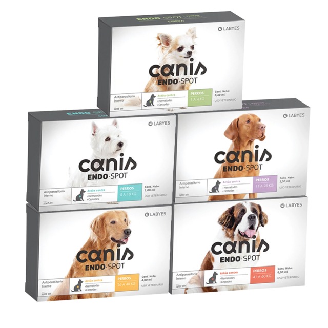 canis endo