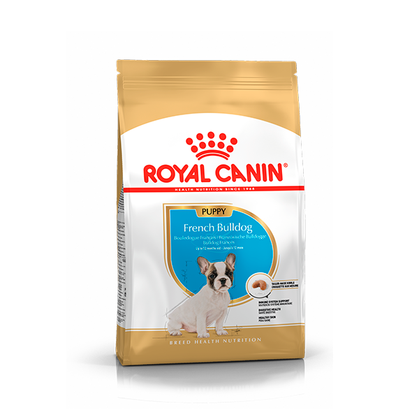 royalcanin-french-bulldog-puppy-1.png