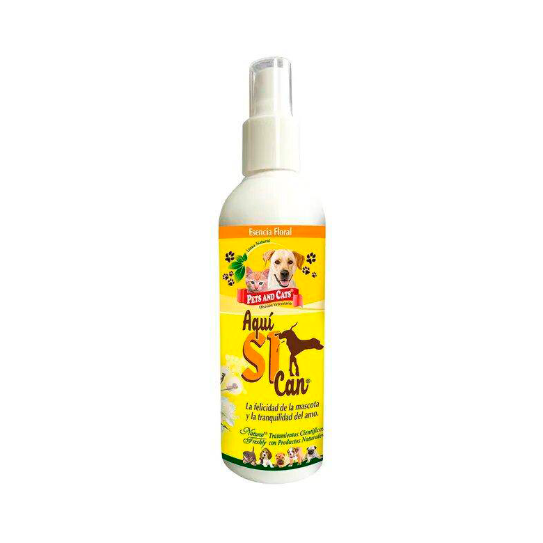Natural-Freshly-Aqui-Si-Can-X-240Ml.png