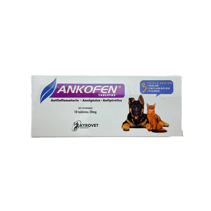 Ankofen-Caja-X-10-Tab.png