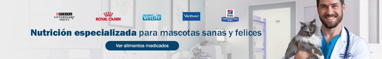 WP staging Product banner 3 desktop