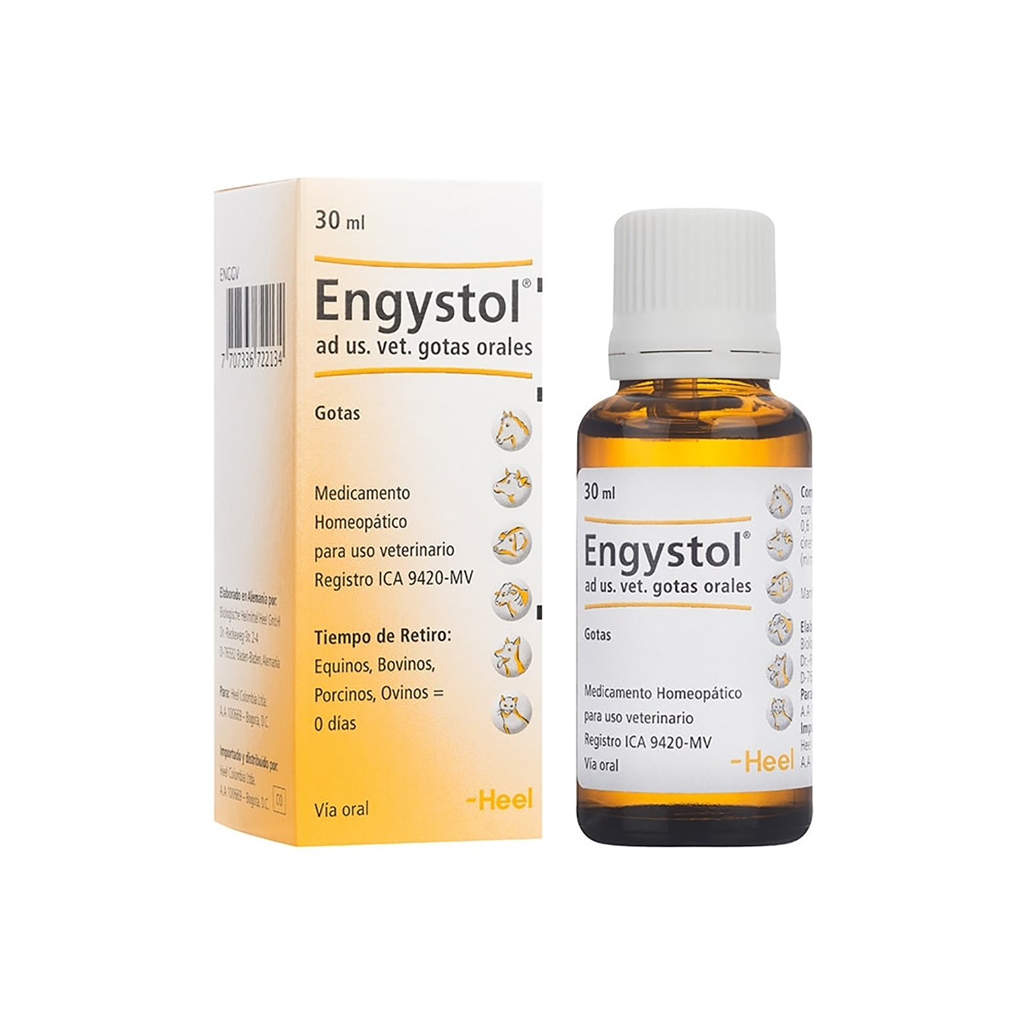 ENGYSTOL-GOTAS-ORALES-X-30ML.jpg
