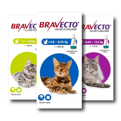 Bravectogatos