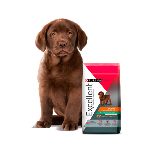 Purina®-Excellent®-Puppy-Chicken-and-Rice-Razas-Medianas-y-Grandes.png