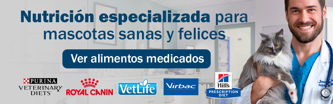 WP staging Product banner 3 desktop