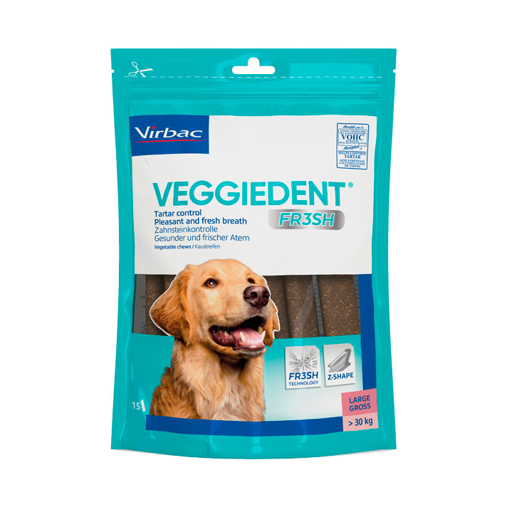 VEGGIENDENT-FRESH-30-KG-PAQTES-X-15.jpg