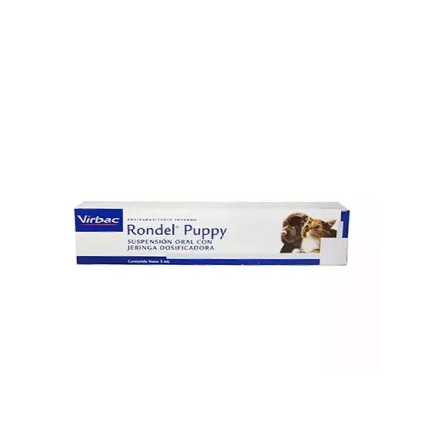rondel-puppy.jpg