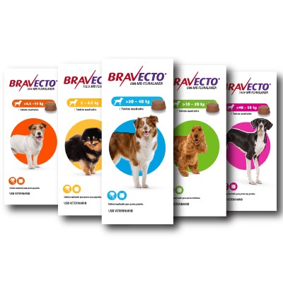 Bravecto Antiparasitario 3 Meses