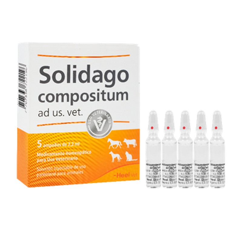 Solidago-Amp-Completa.jpg