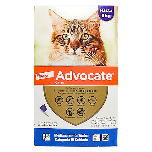 advocate-gatos-0.8.jpg
