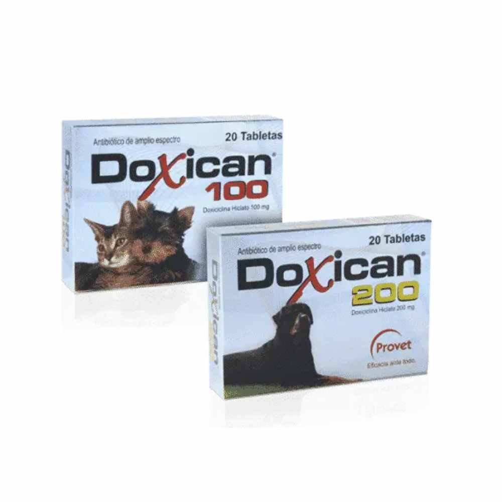Doxican