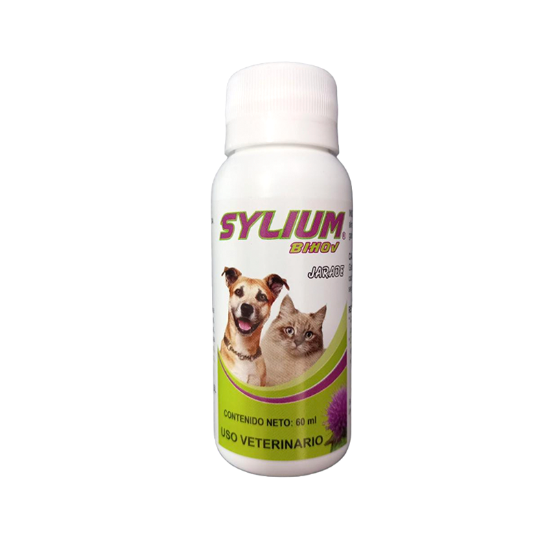 SYLIUM-JARABE-X-60-ML.png
