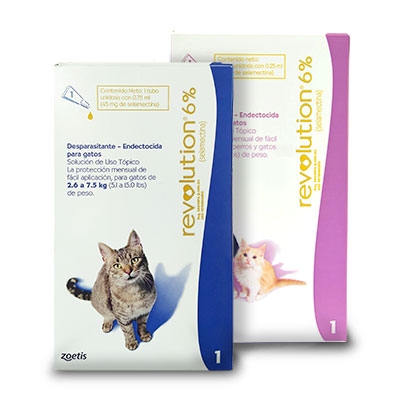 revolution-gatos