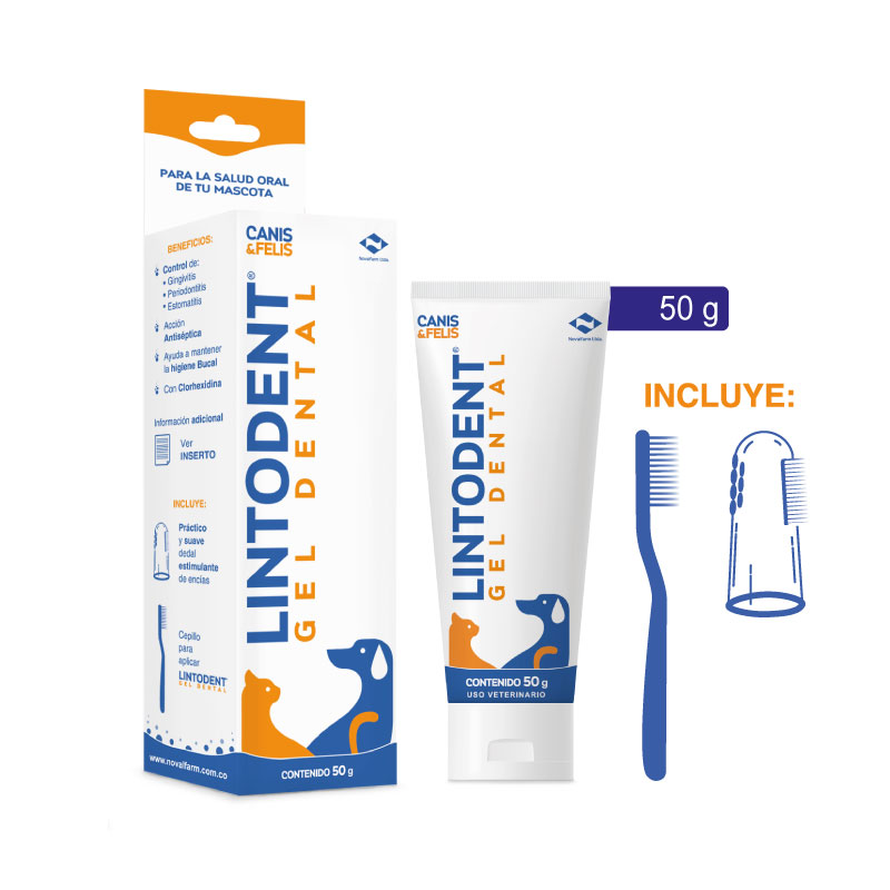 lintodent-gel-dental.jpg