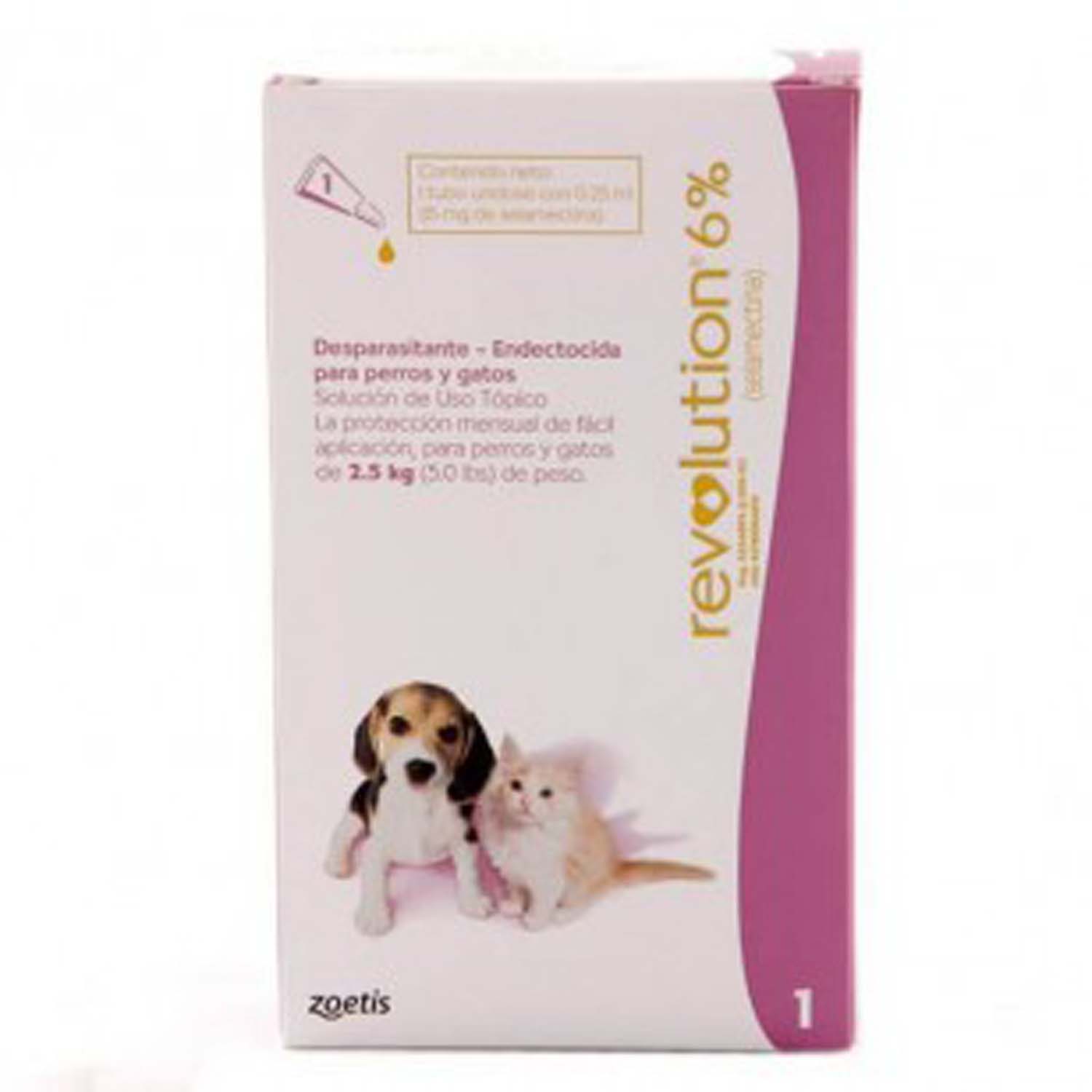 revolucion-6-gatos-y-perros.jpg