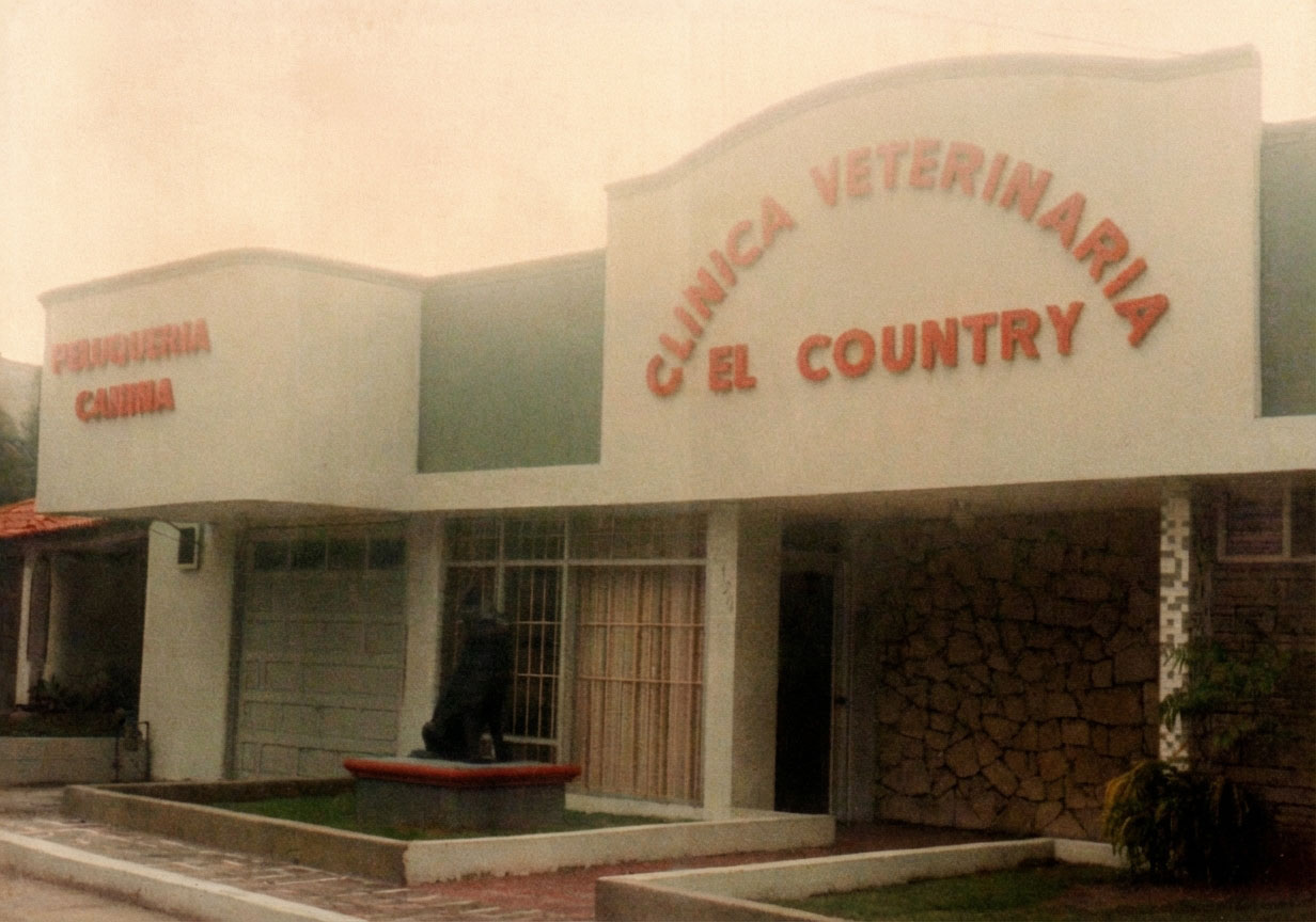Mascota atendida en clínica