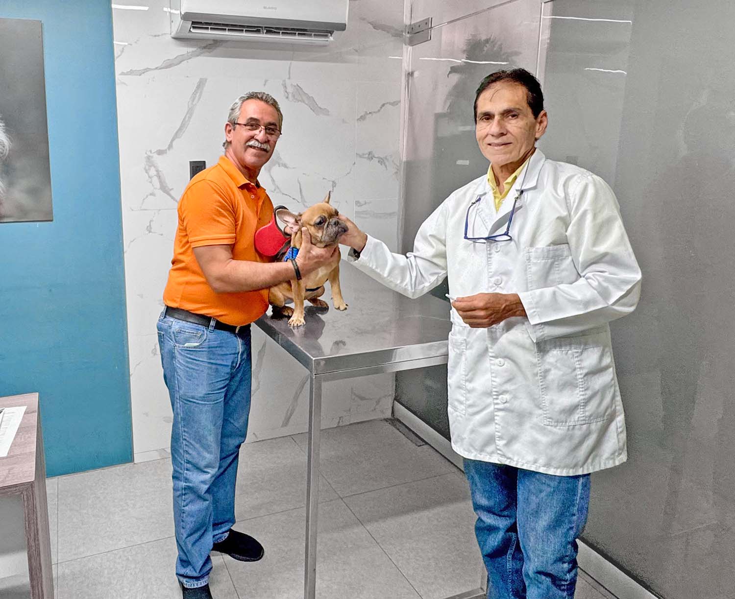 Consultorio veterinario
