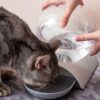 Dispensador De Agua Burbuja Gris - Imagen 4