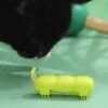 Juguete Interactivo Insecto Con Movimiento Verde