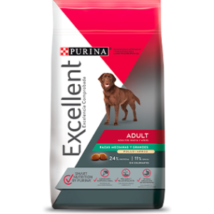 Excellent Adulto Razas Medianas Y Grandes